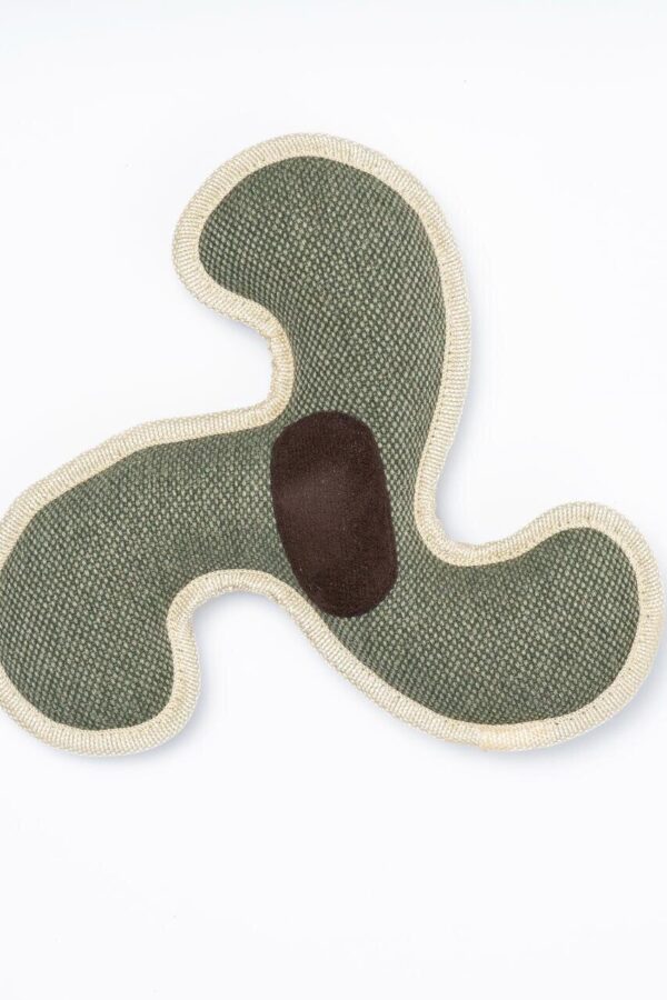 Frisbee Toy