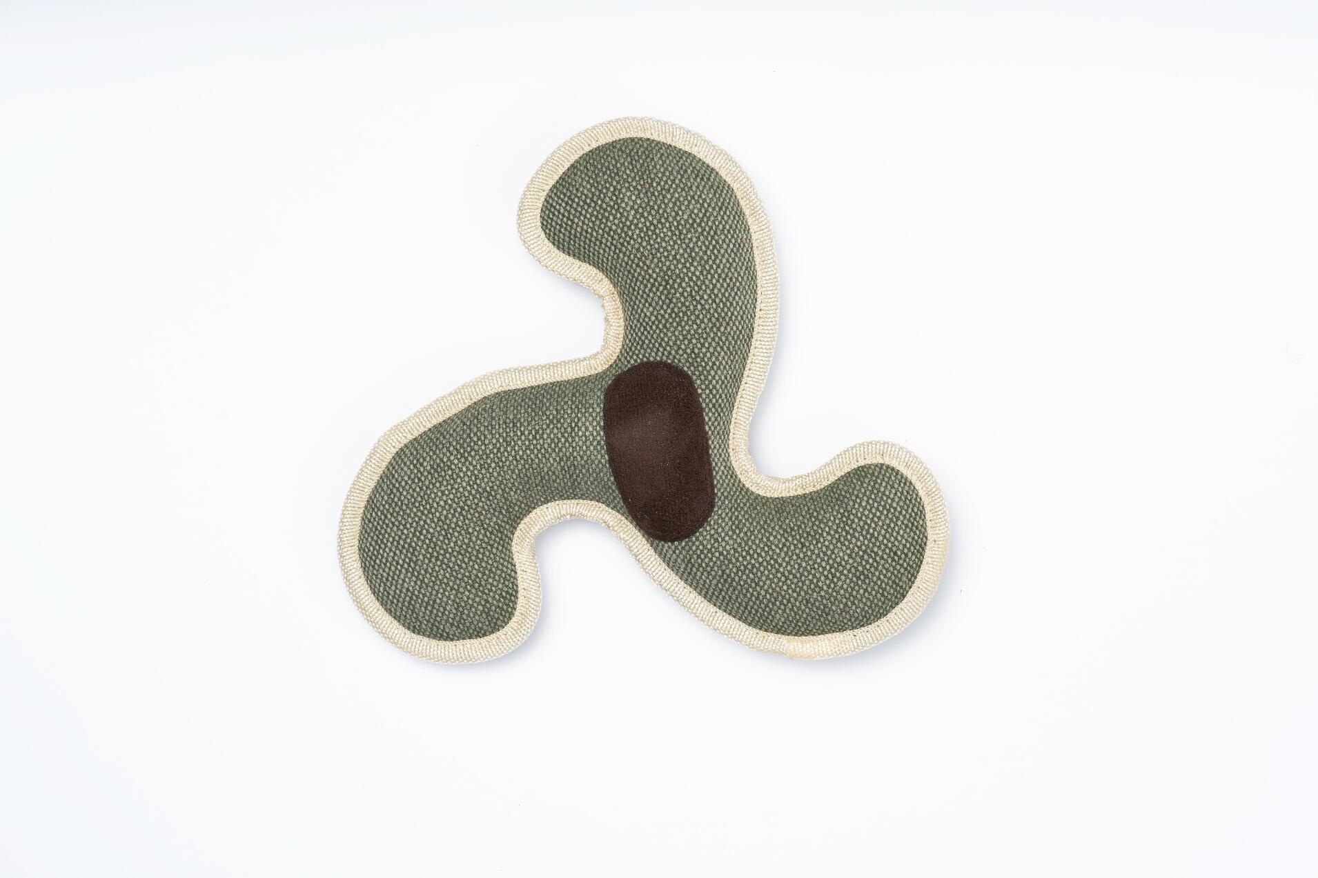 Frisbee Toy