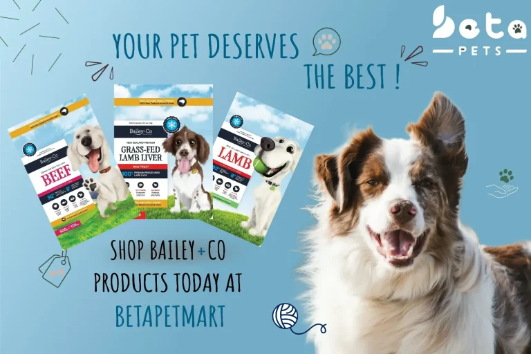 Bailey+Co: Where Quality Meets Tailored Nutrition for Your Pooch