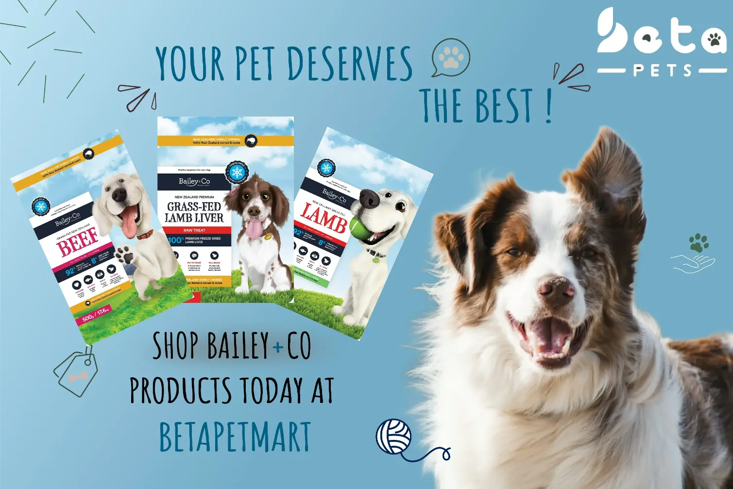 Read more about the article Bailey+Co: Where Quality Meets Tailored Nutrition for Your Pooch