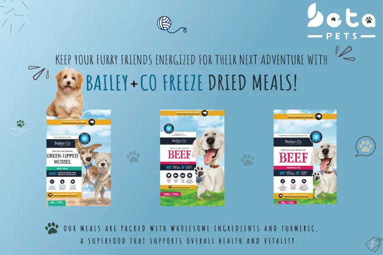 Unveiling the Wonders of Turmeric: How This Ancient Spice Can Transform Your Pet’s Life
