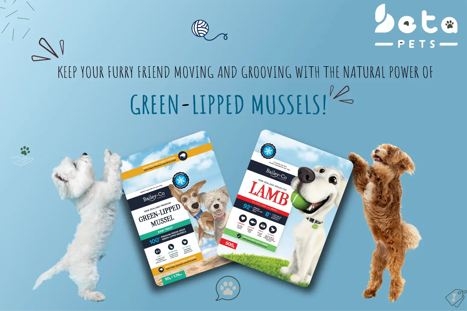 Read more about the article Green-Lipped Mussels: Nature’s Superfood for Your Pet’s Joint Health