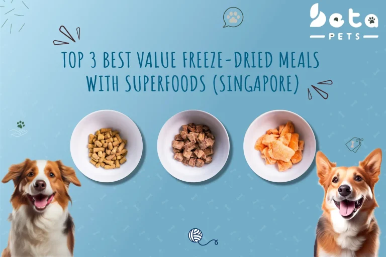 Top 3 Best value Freeze-Dried Meals with Superfoods (Singapore)