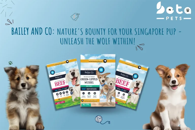 The Best Feed Meal Composition for Dogs, Inspired by Ancestral Roots